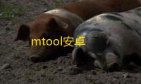 mtool安卓